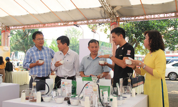 Gia Lai: Khám phá trọn vẹn quy trình cà phê đặc sản