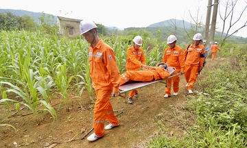 Ngành điện Thanh Hóa chủ động trước bão lũ, giữ dòng điện thông suốt