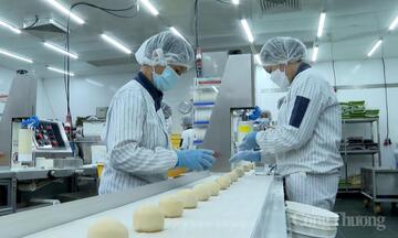 TP. Hồ Chí Minh tăng tốc tăng trưởng hai con số bằng động lực mới