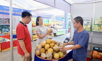 Hội chợ Hùng Vương 2026: Sức mua tăng mạnh, sản phẩm OCOP hút khách