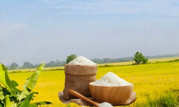 Giá lúa gạo hôm nay ngày 27/4: Gạo thơm dẻo neo cao