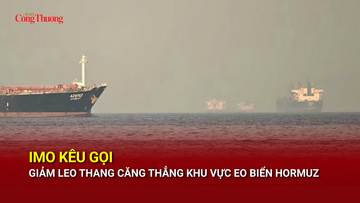 IMO kêu gọi giảm leo thang căng thẳng khu vực eo biển Hormuz