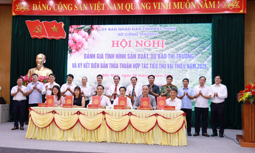 Định vị vải thiều Bắc Ninh thành sản phẩm phân khúc cao cấp