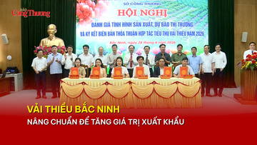 Nâng chuẩn chất lượng vải thiều Bắc Ninh để tăng giá trị xuất khẩu
