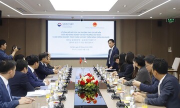 Mở cửa thị trường thịt gà: Đòn bẩy nâng tầm ngành chăn nuôi Việt