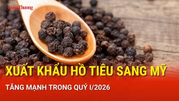 Xuất khẩu hồ tiêu sang Mỹ tăng mạnh trong quý I/2026