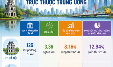Infographic | Thông tin chi tiết 7 thành phố trực thuộc Trung ương