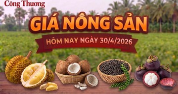 Giá nông sản hôm nay, ngày 30/4:  Nhiều mặt hàng có mức giá tốt