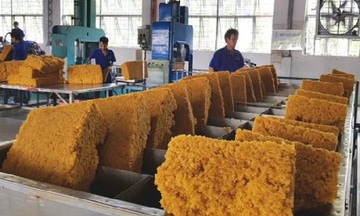 Hơn 3 tháng năm 2026, xuất khẩu cao su Việt Nam đạt 787,7 triệu USD