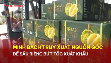 Minh bạch truy xuất nguồn gốc để sầu riêng bứt tốc xuất khẩu 