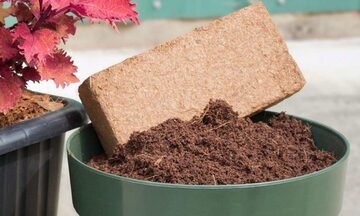 Khai mở giá trị mới cho nông sản Việt từ phụ phẩm nông nghiệp