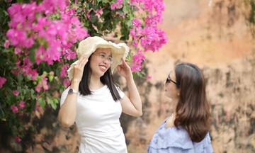 Con đường hoa giấy rực hồng giữa lòng phố biển