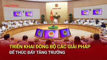 Triển khai đồng bộ các giải pháp để thúc đẩy tăng trưởng