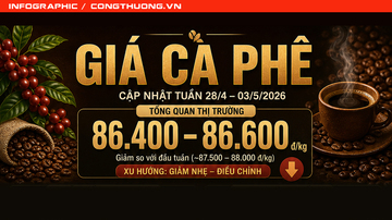 Infographic | Tổng quan giá cà phê trong nước từ 28/4 đến 3/5/2026