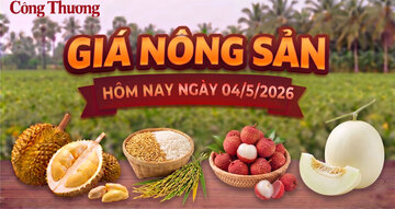Giá nông sản hôm nay, ngày 4/5: Nhiều loại nông sản vào mùa được giá 