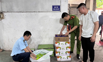 Quản lý thị trường Hà Nội quyết liệt ngăn chặn thực phẩm bẩn