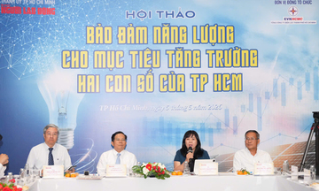 TP. Hồ Chí Minh: Bảo đảm năng lượng cho mục tiêu tăng trưởng hai con số 