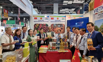 Việt Nam - Ấn Độ: Kim ngạch thương mại song phương tăng trưởng liên tục