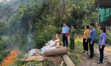Cao Bằng: Tổ chức tiêu hủy thuốc lá, phân đạm nhập lậu