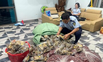 Thái Nguyên: Xử lý 222 vụ vi phạm, thu nộp ngân sách hơn 5,1 tỷ đồng 