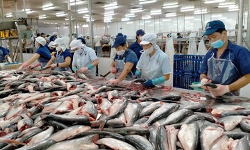 Xuất khẩu thủy sản bứt tốc, hướng mốc 12,3 tỷ USD