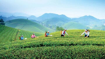Thái Nguyên chuẩn bị mùa du lịch chủ đề “Hồ trên núi - Trà trong mây”
