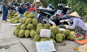 Sầu riêng hai giá: Cần giải pháp căn cơ để ổn định thị trường tiêu thụ