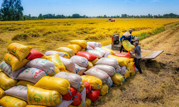 An ninh lương thực ASEAN trước phép thử mới