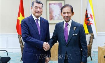 Tăng cường quan hệ hữu nghị, hợp tác Việt Nam với các nước ASEAN và Ngân hàng ADB