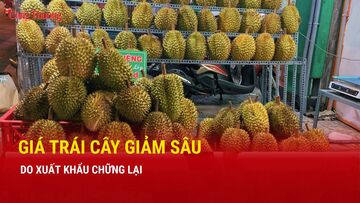 Giá trái cây giảm sâu do xuất khẩu chững lại