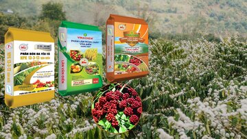 Phân lân Văn Điển góp phần kiến tạo nền nông nghiệp xanh bền vững