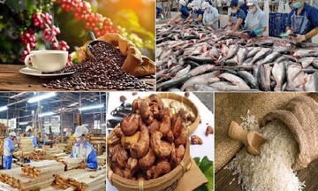 Những mặt hàng nông sản xuất khẩu chủ lực 4 tháng năm 2026