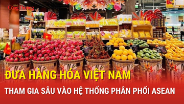 Đưa hàng hóa Việt Nam tham gia sâu vào hệ thống phân phối ASEAN