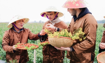Khách du lịch quốc tế đến Việt Nam xuất hiện các thị trường tiềm năng