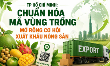 Infographic | TP. Hồ Chí Minh chuẩn hoá mã vùng trồng, mở rộng cơ hội xuất khẩu nông sản