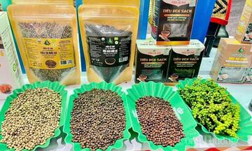 Giá tiêu hôm nay 12/5/2026: Duy trì ổn định từ 141.000-144.000 đồng/kg