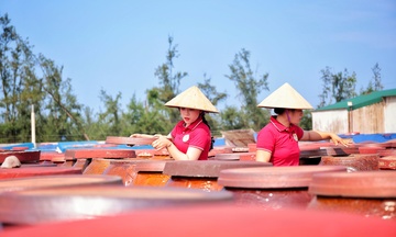 Quy trình sản xuất của thương hiệu nước mắm đạt OCOP 5 sao ở Hà Tĩnh