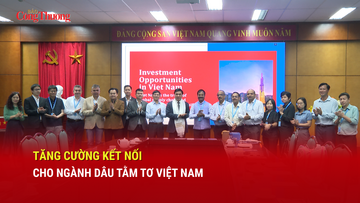 Tăng cường kết nối cho ngành dâu tằm tơ Việt Nam