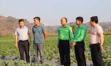 Tiến Nông đồng hành cùng nhà phân phối chuyển đổi từ hộ kinh doanh lên doanh nghiệp