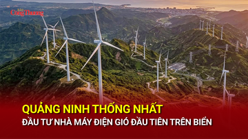 Quảng Ninh thống nhất đầu tư nhà máy điện gió đầu tiên trên biển