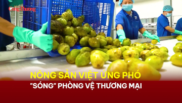 Nông sản Việt ứng phó 