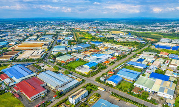  'Trải thảm' hút vốn xây dựng hệ sinh thái công nghiệp xanh