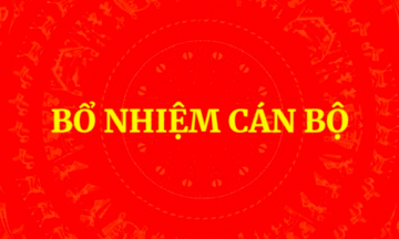 Bổ nhiệm Trợ lý Thủ tướng, Phó Thủ tướng Thường trực Chính phủ