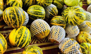 Đầu hè, dưa bở 'gây sốt' với giá chỉ vài chục nghìn