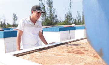 Hà Tĩnh: Chuyển đổi xanh trong chế biến nâng tầm thương hiệu nước mắm truyền thống
