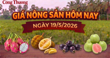 Giá nông sản hôm nay ngày 19/5: Nhiều mặt hàng vào mùa hút khách