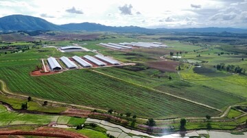 Thị trường nông nghiệp Lào: Điểm đến tiềm năng của nhà đầu tư Việt