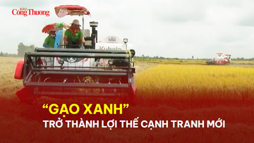 “Gạo xanh” trở thành lợi thế cạnh tranh mới