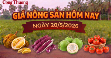 Giá nông sản hôm nay ngày 20/5: Một số mặt hàng có giá tốt