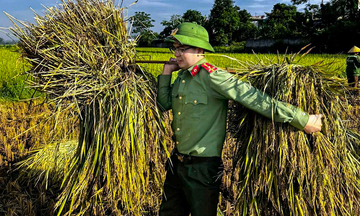 Công an Thanh Hóa thu hoạch lúa giúp dân giữa nắng nóng gay gắt
